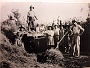 tutta la famiglia per la raccolta del grano (Marzia Dalle Fratte()